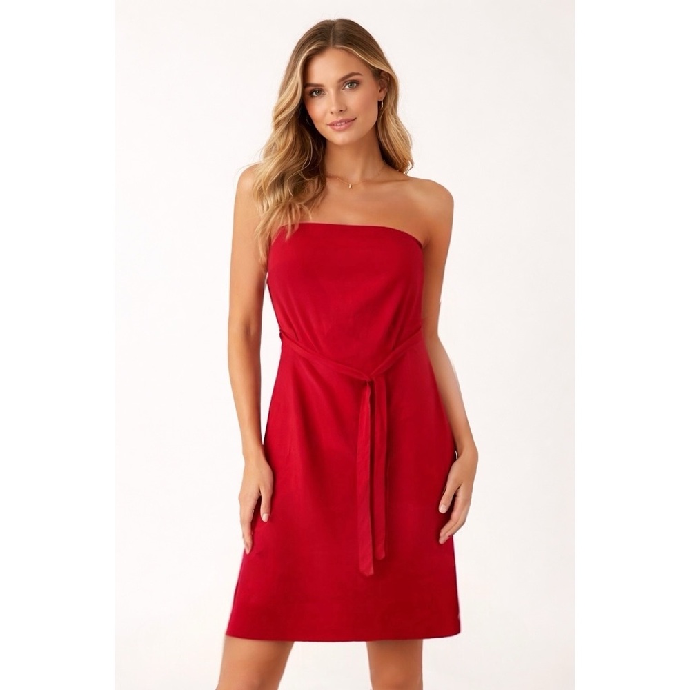 NWT GAP Strapless Sleeveless Straight Belted Dress Colour Red Size Large
